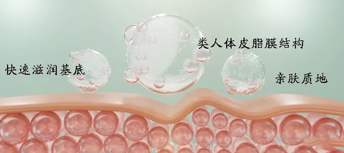 揭秘尖端生物科技：植物仿生皮脂，模擬細(xì)胞間脂質(zhì)功效，修護(hù)皮膚屏障，強(qiáng)韌肌膚！